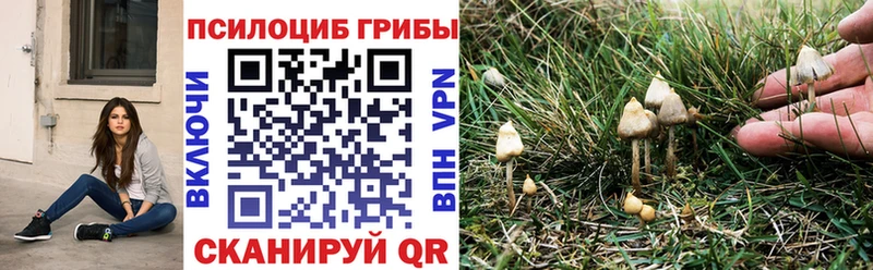 Галлюциногенные грибы GOLDEN TEACHER  это какой сайт  Ангарск 